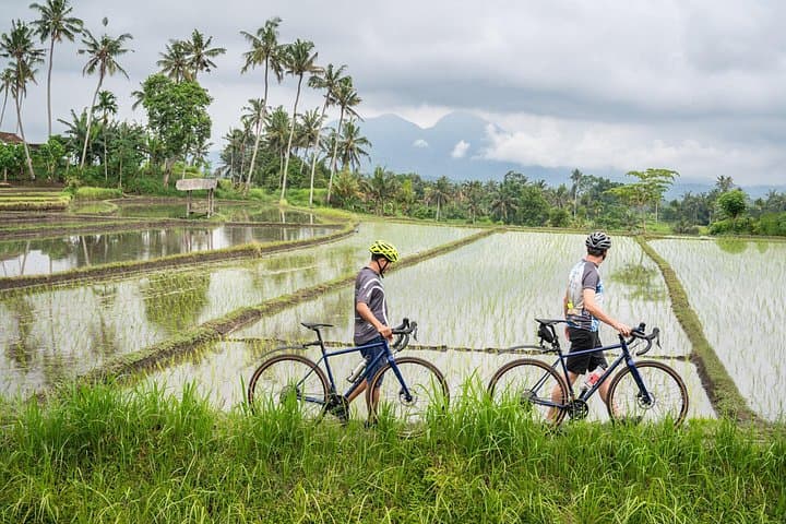 Bike to Virgin Beach: Kaura Ridgeline Cycle, Bee Farm Visit & Beach Lunch in Bali photo 4