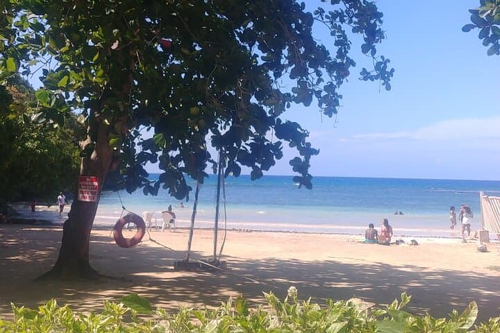 Custom Ocho Rios Excursion: Blue Hole & Dunn's River Falls Private Tour photo 5
