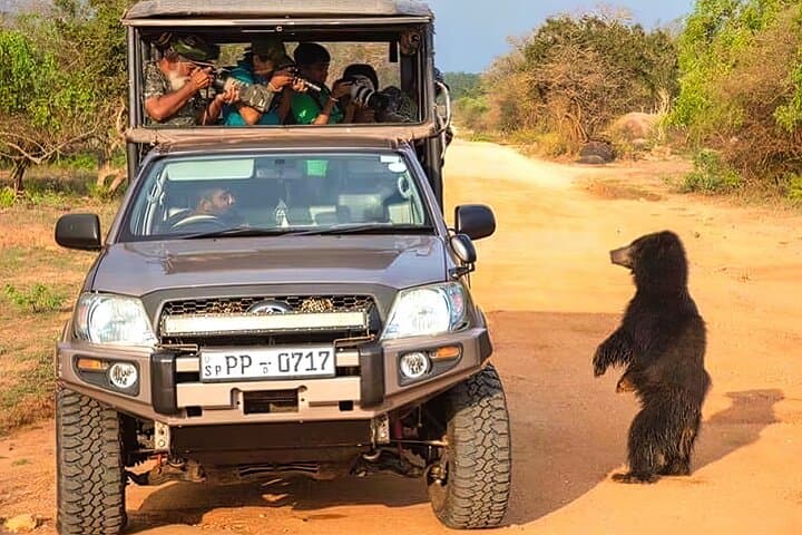 Wild Wonders of Yala: Hambantota Cruise Safari to See Leopards & Elephants photo 3