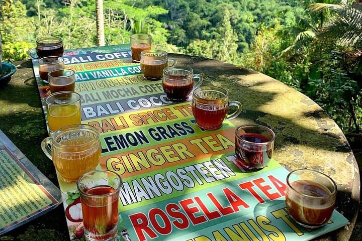 Best of Ubud: Monkey Forest, Tegalalang Rice Terrace, Waterfalls & Bali Swing Day Tour photo 5