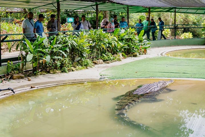 Crocodile Adventureland Langkawi: Explore Malaysia’s Largest Crocodile Farm with Hotel Transfer photo 3