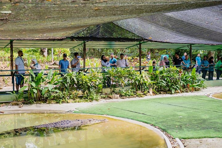 Crocodile Adventureland Langkawi: Explore Malaysia’s Largest Crocodile Farm with Hotel Transfer photo 4