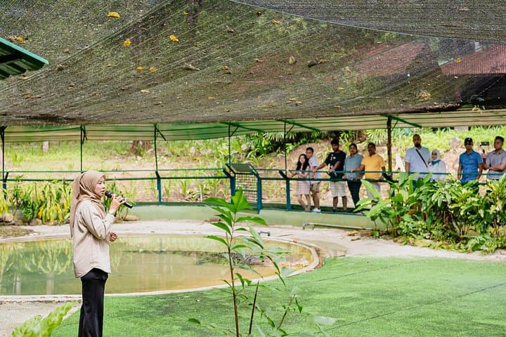 Crocodile Adventureland Langkawi: Explore Malaysia’s Largest Crocodile Farm with Hotel Transfer photo 6