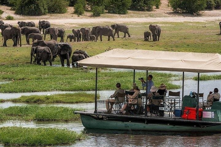 Chobe Safari Day Trip from Livingstone: Full-Day Game Drive and River Cruise photo 2