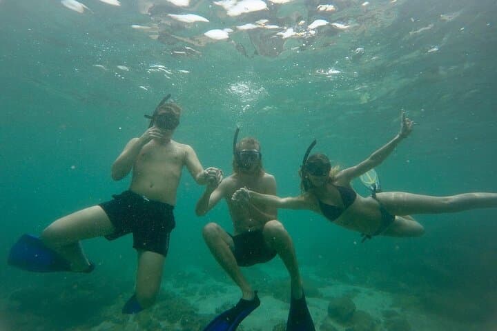 Snorkel Rock Island Unawatuna: Boat Trip to Coral Reefs Near Galle