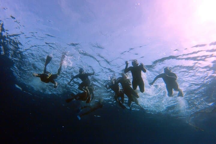 Aqaba Boat Snorkel with Lunch — Reefs, Wrecks & Shore Pickup photo 6
