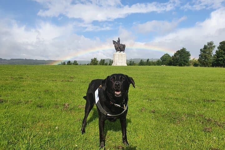 Bannockburn Battlefield Walking Tour — Relive Robert the Bruce & Stirling Bridge
