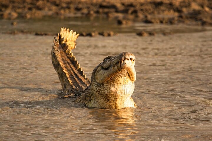 3-Day Private Safari to Selous (Nyerere) National Park from Zanzibar photo 2
