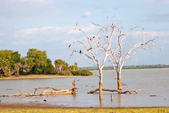 3-Day Private Safari to Selous (Nyerere) National Park from Zanzibar photo 3