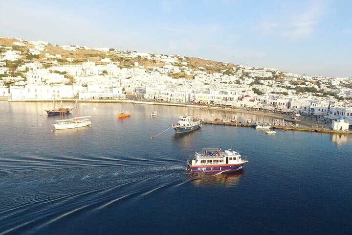 Half-Day Delos Archaeology Tour from Mykonos Cruise Port photo 6