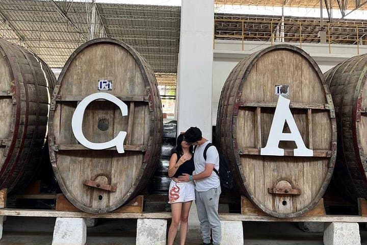 Paracas, Ballestas & Huacachina Day Trip from Lima — Boat Tour, Pisco Tasting & Sandboarding photo 2