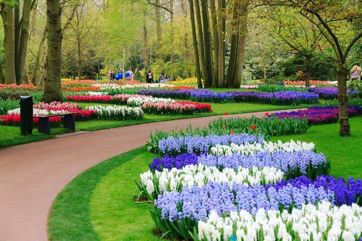 Full-Day Private Tour to Keukenhof from Brussels — Tulip Fields & Delft Day Trip photo 2