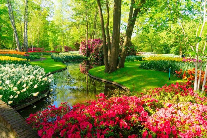 Full-Day Private Tour to Keukenhof from Brussels — Tulip Fields & Delft Day Trip photo 4