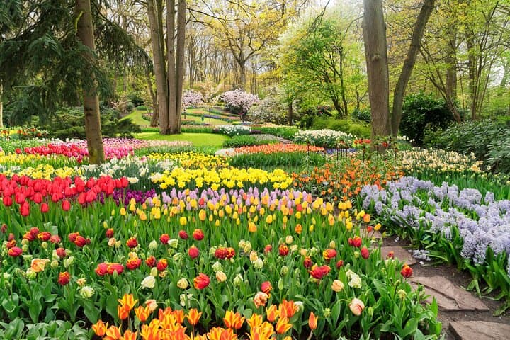 Full-Day Private Tour to Keukenhof from Brussels — Tulip Fields & Delft Day Trip photo 6