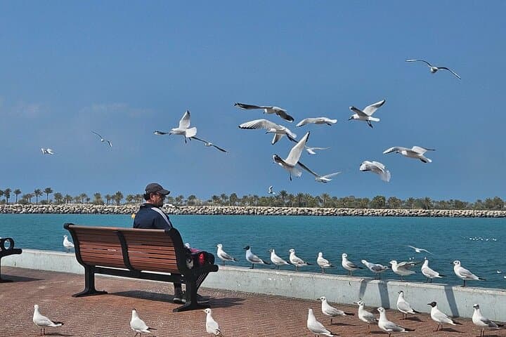 3-Day Private Dubai & Abu Dhabi Tour with Chauffeur — Top Sights & Practical Tips photo 6