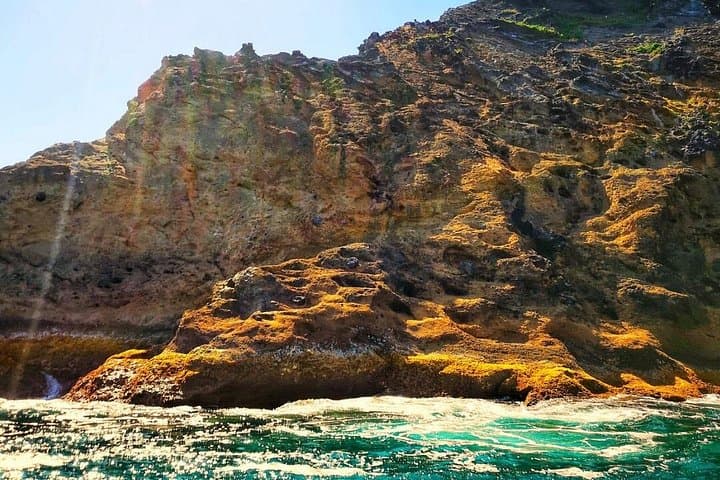 Boat Tour to Ilhéu das Cabras — Terceira Azores Islet Tour photo 3