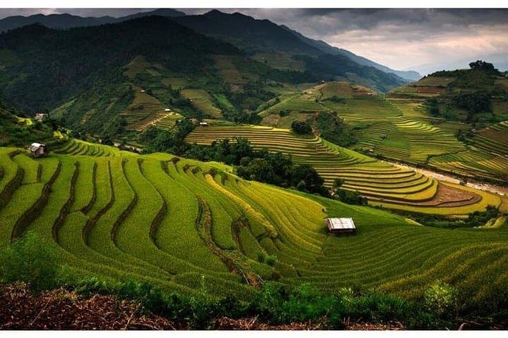 Sapa Terrace Fields & Village Trek: Lao Chai and Muong Hoa Day Hike photo 3