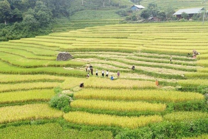 Sapa Terrace Fields & Village Trek: Lao Chai and Muong Hoa Day Hike photo 4