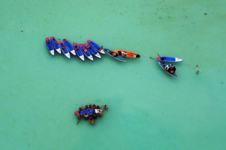 Paddle at Dawn in Bacalar: Sunrise SUP & Kayak to Cenotes and Bird Islands photo 4