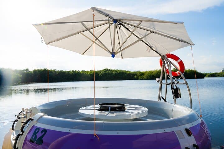 Cancun Bubble Boat Lagoon Tour: 90-Minute Pontoon Cruise Through Nichupté Mangroves photo 5