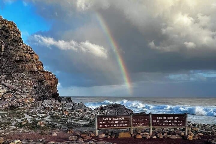 Cape Peninsula Penguin & Coastal Highlights Day Tour from Cape Town photo 3