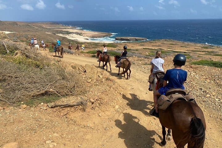 Horseback Ride to Aruba’s Natural Pool (Conchi) in Arikok National Park photo 5