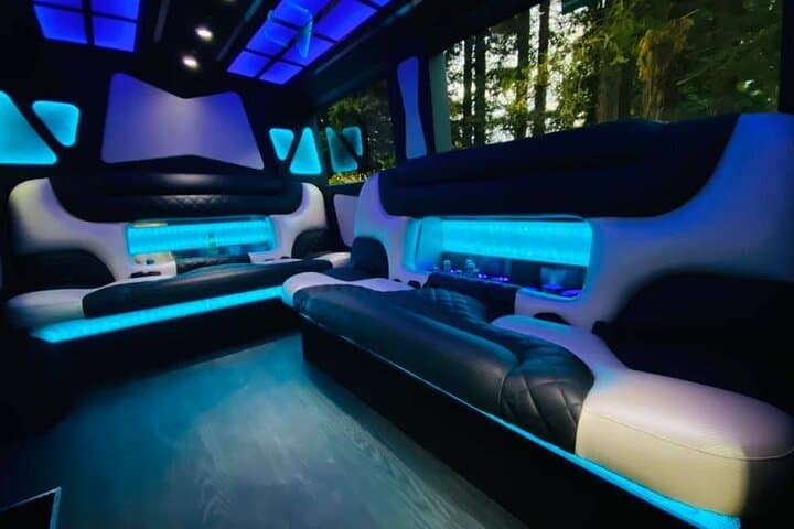 Private Napa & Sonoma Wine Tour: 6-Hour Mercedes Sprinter Limo Van Experience photo 2