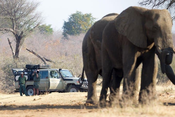 10-Day Great Migration Photographic Safari — Wildebeest Crossings & Ngorongoro Crater photo 1