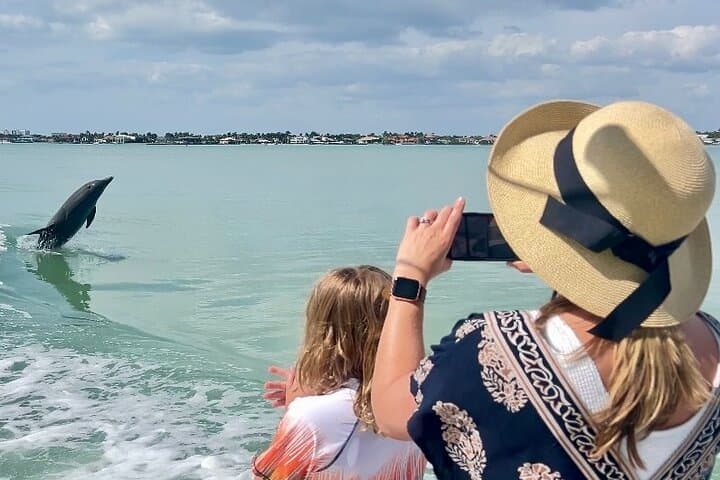 Exploring Marco Island’s Wild Waters: The Best of Marco Island Dolphin Tour Experience photo 2