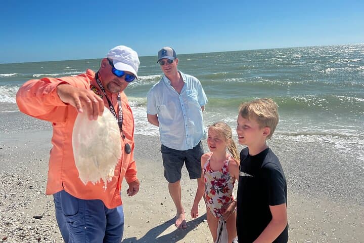 Ten Thousand Islands Eco Boat Tour: Dolphin Watching, Shelling & Birding from Marco Island