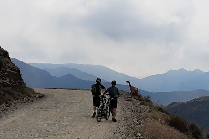 Villavicencio 365-Turn Descent: Private Mendoza Mountain Bike Tour photo 2