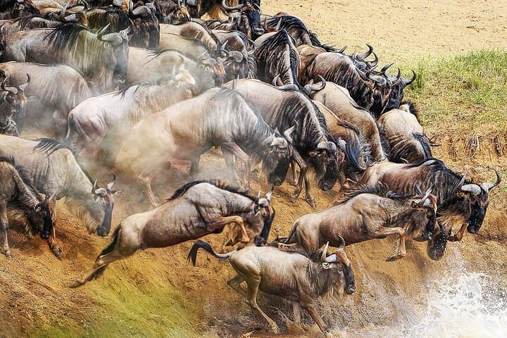 4-Day Serengeti Kogatende Migration Safari — Watch the Mara River Crossing photo 3