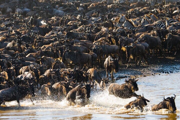 4-Day Serengeti Kogatende Migration Safari — Watch the Mara River Crossing photo 1