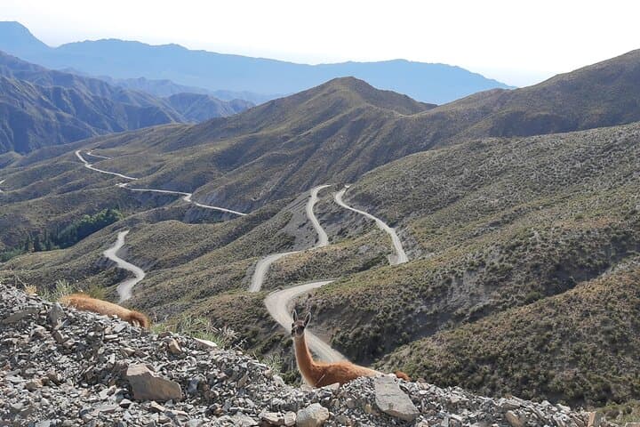 Villavicencio 365-Turn Descent: Private Mendoza Mountain Bike Tour photo 4