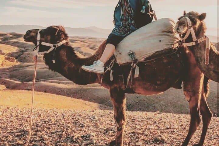 Sunset Camel Ride and Berber Dinner in the Agafay Desert photo 5