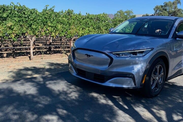 Berkeley to Oakland Airport: All-Electric Private Transfer photo 4