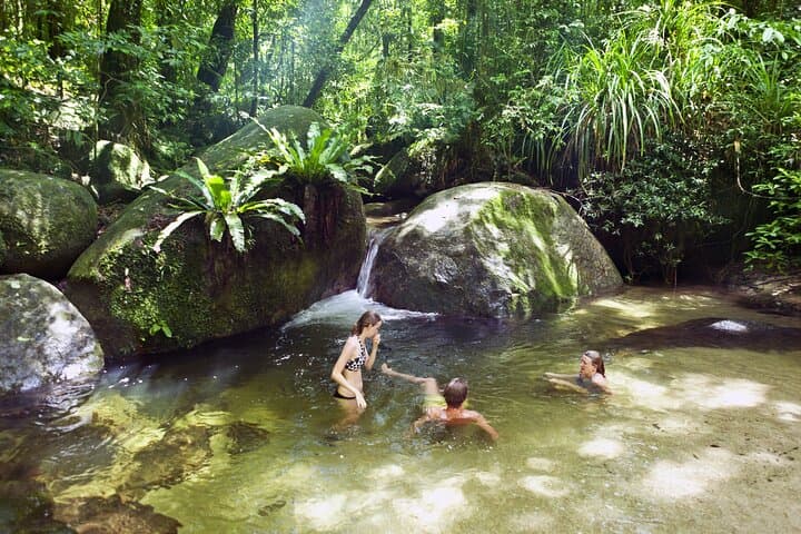 Mossman Gorge Daintree Small-Group Tour: Rainforest, River & Culture photo 2