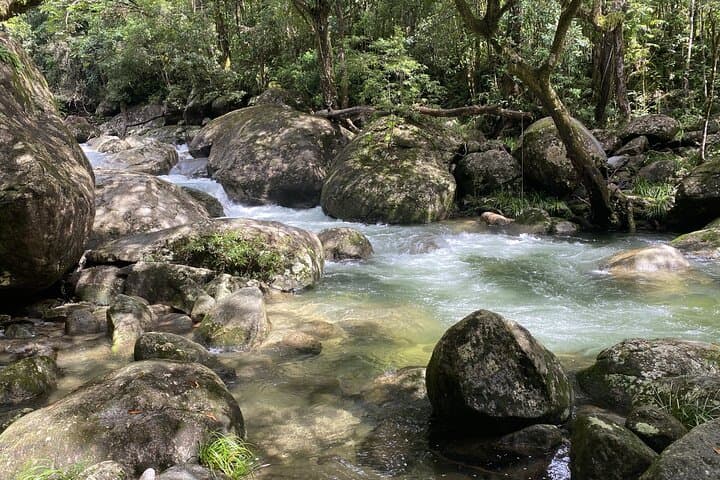 Mossman Gorge Daintree Small-Group Tour: Rainforest, River & Culture photo 6