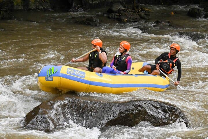 Full-Day Private Ayung River Rafting and Ubud City Tour photo 4
