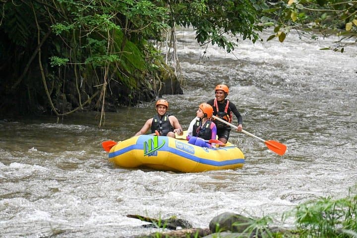 Ayung River White Water Rafting in Ubud — 12km Family-Friendly Adventure photo 1
