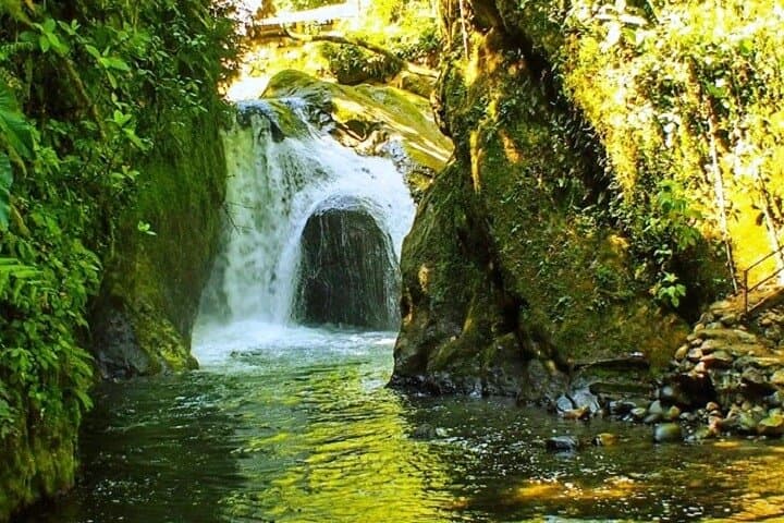 Full-Day Mindo Cloud Forest Adventure: Zipline, Waterfalls & Wildlife from Quito
