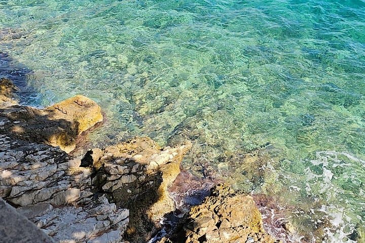 Korčula & Ston Luxury Day Tour: Oysters, Miloš Winery & Medieval Korčula photo 2