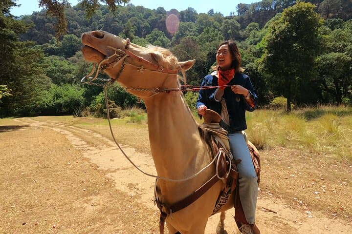 Horseback Riding in the Mountains with Cabin Breakfast near Mexico City