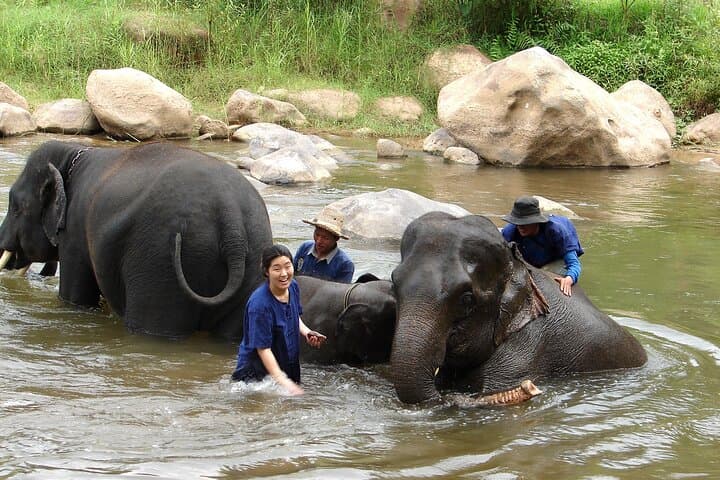 Full-Day Elephant Bathing and Bamboo Rafting Tour in Chiang Mai photo 4
