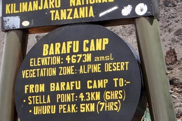 Climb Mount Kilimanjaro via the 7-Day Machame Route — Guided Trek from Moshi photo 4