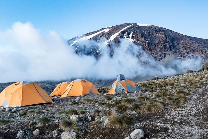 Climb Mount Kilimanjaro via the 7-Day Machame Route — Guided Trek from Moshi photo 6