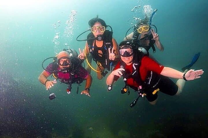 Beginner Beach Scuba Dive in Dubai: 2-Hour Guided Intro to the Arabian Gulf