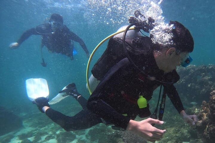 Beginner Beach Scuba Dive in Dubai: 2-Hour Guided Intro to the Arabian Gulf photo 5
