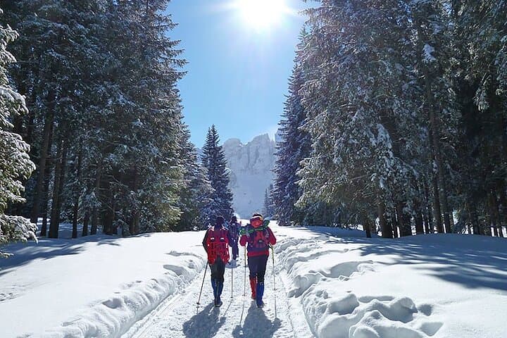 Day Trip to the UNESCO Dolomites from Venice — Tre Cime & Misurina Lake photo 2