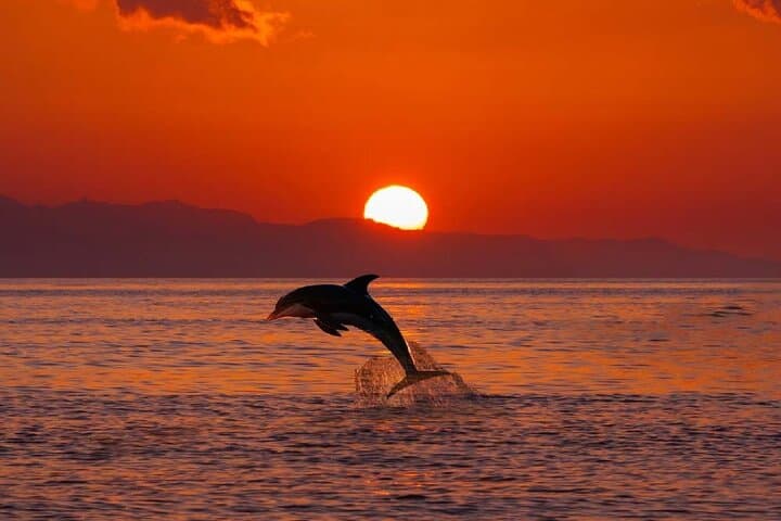 Sunrise Dolphins & Breakfast: Private Taormina Coast Boat Tour photo 4